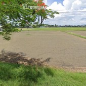 Đất Mặt tiền SHR Đ.8m 557m2, Vuông – Xuân Thới Sơn 17 Hóc Môn SS